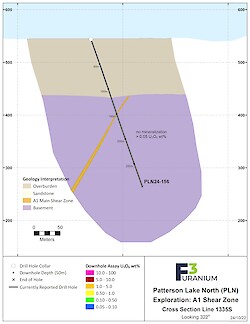 1335S Assay – Oct 2024