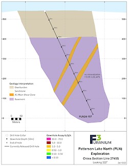 2745S Assay – Oct 2024