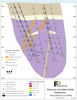 2850S Assay – Oct 2024