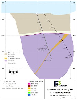 555S Assay – Oct 2024